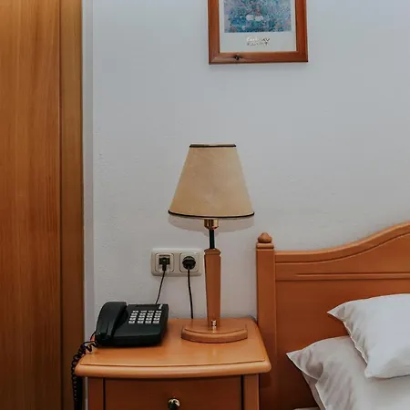 فندق Friesacherhof 3*