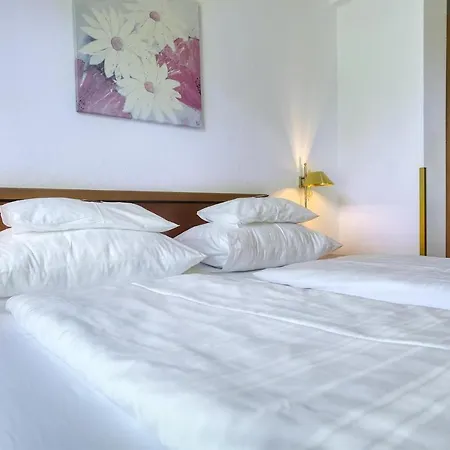 Friesacherhof فندق